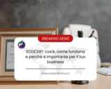 ECOCERT: cos’è, come funziona e perché è importante per il tuo business