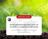 Disoccupazione agricola: cos’è, chi ha diritto e come fare la domanda